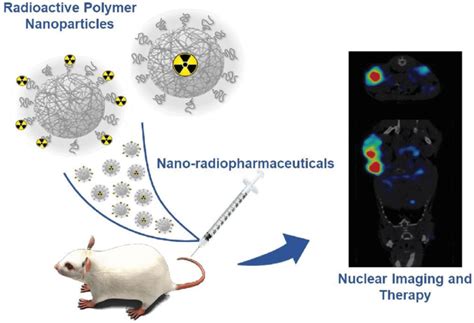 Schematic figure showing the main two types of polymeric nanoparticles... | Download Scientific ...