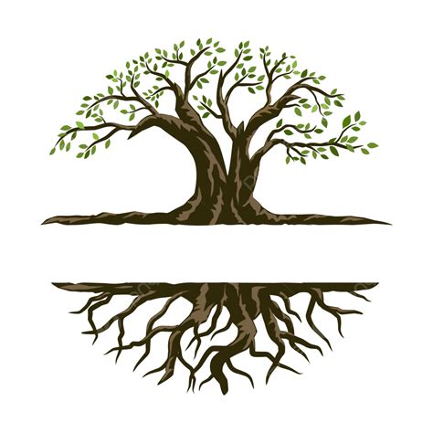 Oak Tree Badge Logo, Oak Tree, Logo, Circular PNG and Vector with ...