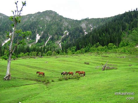 Arang Kel A Lush Green Village In Neelum Valley Azad Kashm… | Flickr