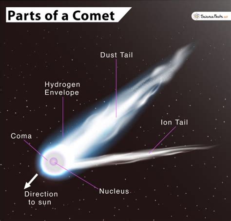 Parts of a Comet: Name, Composition, & Labelled Diagram | Comet, Comets and asteroids, Space and ...