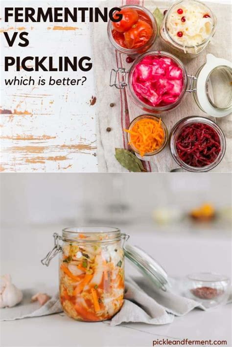 Fermenting vs Pickling: Which is Better? – Pickle & Ferment