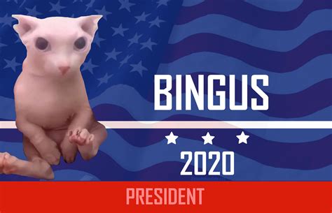 Bingus has my vote. This took like 30 minutes to photoshop lol : r/bingus