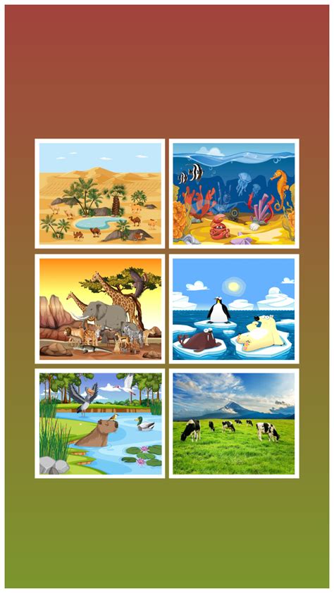 Terrestrial Ecosystem Animals