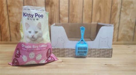 Best Cat Litter Subscription: Kitty Poo Club vs Pretty Litter vs Skoon & More - Love Your Cat