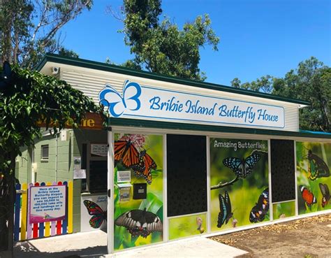 Bribie Island Butterfly House Bribie Island | Must Do Brisbane