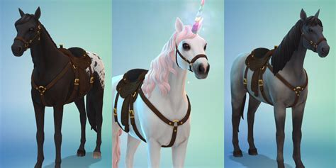 The Best Horse Breeds In The Sims 4 Horse Ranch