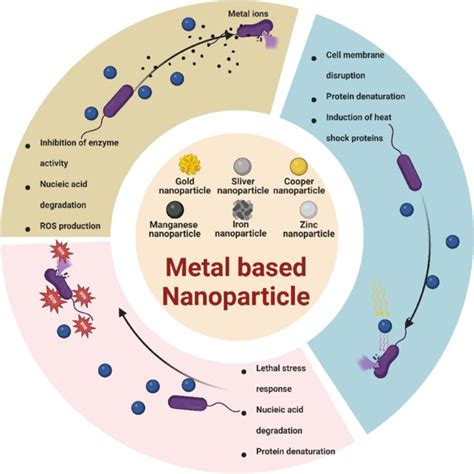 Schematic representation of the mechanism of metal-based nanoparticles ...