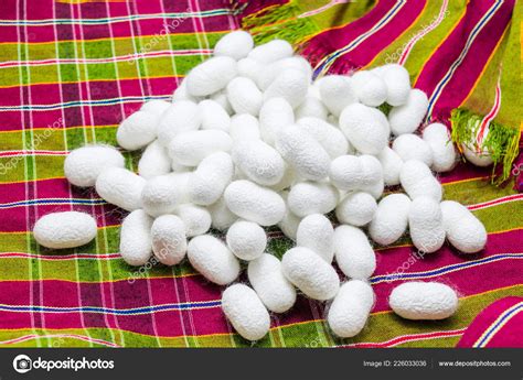 White Silk Cocoon Fabric Silk Cotton — Stock Photo © naramit #226033036