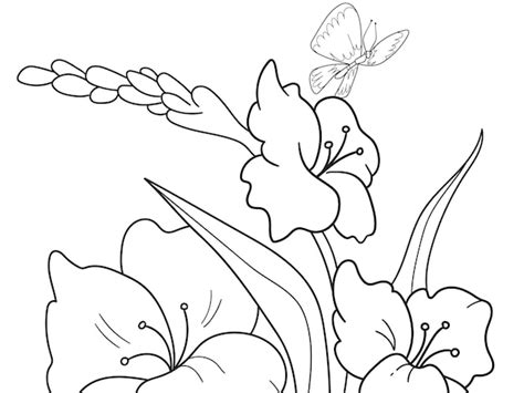 Dibujos animados para colorear para niños glade con flores en la naturaleza | Vector Premium