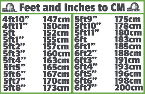 Trek Bikes Size Guide | What size frame do I need?