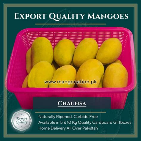 Chaunsa Mango Pakistan چونسا Export Quality - Mangonation.pk