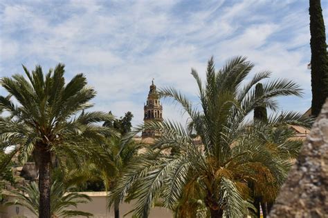 [Hotel Reviews] The 22 Best Hotels in Cordoba Spain - For ALL Budgets!