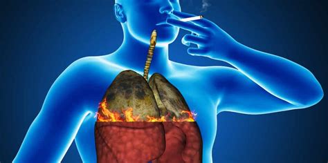 Smokers Or Past Smokers: Six Ways To Cleanse And Revitalize Your Lungs • Healing the Body