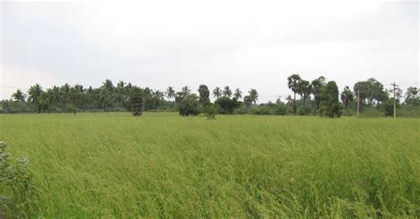 agricultural land for sale acres for sale cheap land buying land agriculture land for sale rural ...