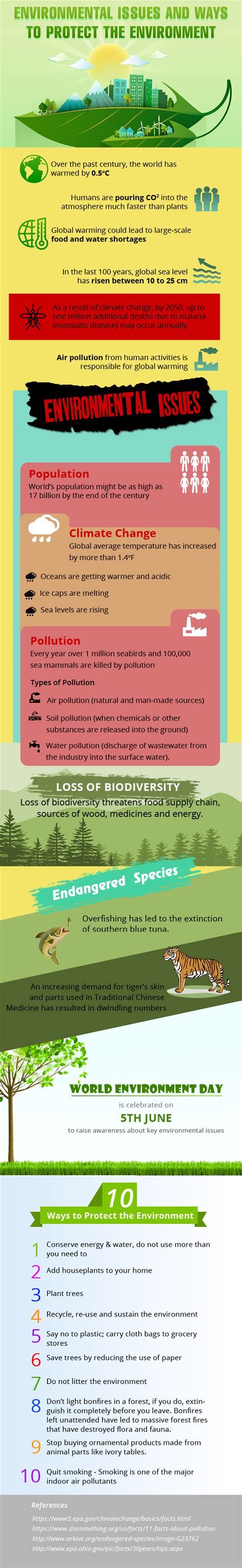 Infographic on Environmental Issues and Ways To Protect The Environment