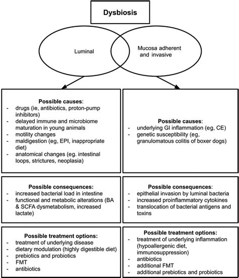 Treatment approach to intestinal dysbiosis. Intestinal dysbiosis is ...