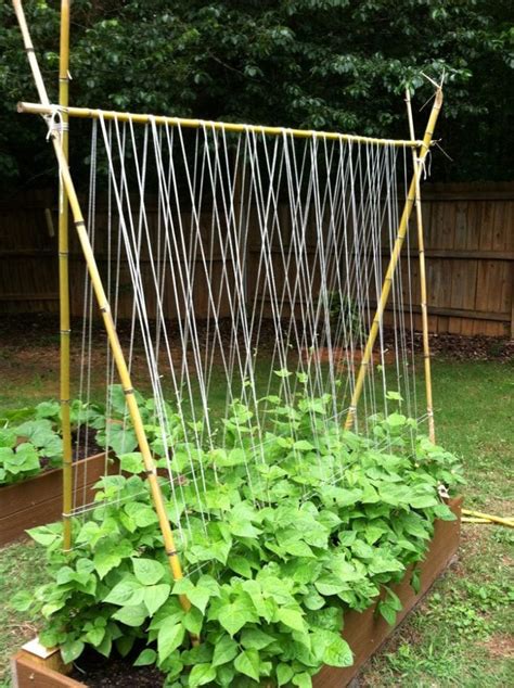 15 Easy DIY Cucumber Trellis Ideas | Vegetable garden trellis, Diy ...