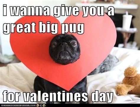 Giver Her the P on Valentine's Day | Funny valentine memes, Valentines day memes, Valentines memes