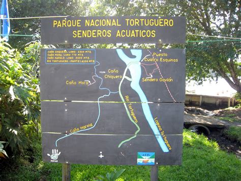 Tortuguero National Park Photos