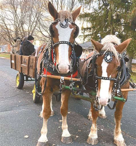 Trick-or-treating by horse-drawn wagon – Inter-County Leader