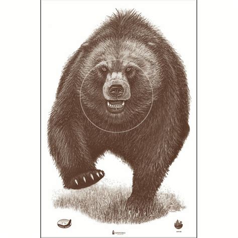 100 Pcs of Alaska State Parks Bear Target Brown. Size: 23" x 35 - Walmart.com