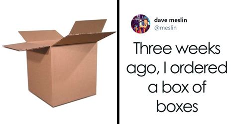 This Person’s Attempt To Order A Box Of Boxes From Amazon Fails So Badly, It Becomes A Meme ...