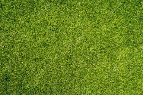 Natural grass texture patterned background in golf course turf from top view: Abstract ...