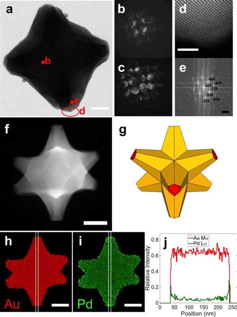 Structure, crystallography, and composition of Au/Pd octopods. (a) STEM... | Download Scientific ...