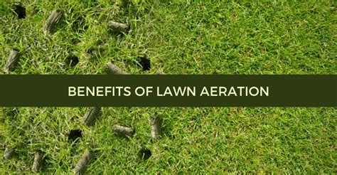 Benefits of Lawn Aeration - Blog - Quiet Lawn & Pest - Healthy Lawns, Bug-Free Homes