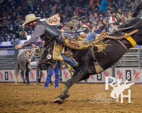 Pin on RODEO/pbr