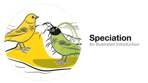 Speciation: An Illustrated Introduction - YouTube