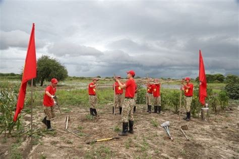 Vietnamese Engineering Officers Help Abyei People Repair Roads, Plant Trees | Vietnam Times