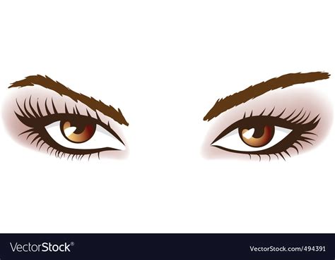 Woman brown eyes Royalty Free Vector Image - VectorStock