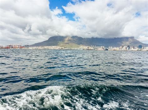 Cape Town: Waterfront and Sunset Champagne Cruise | GetYourGuide