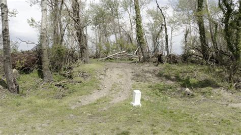 City Cemetery on Hart Island – NYC LGBT Historic Sites Project