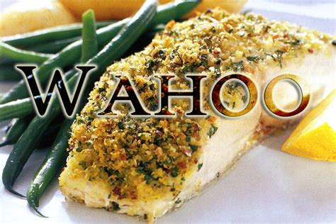 Wahoo Is Prized Fish | Foods and Beverage Wholesale Distributor