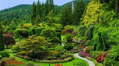 Picture Canada Butchart Gardens Victoria Nature Lawn Trees 3840x2160