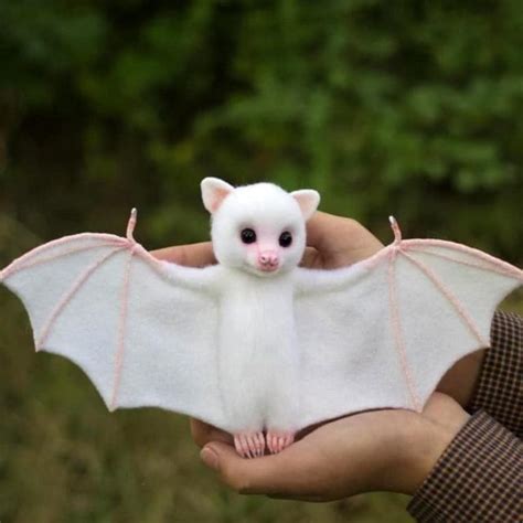 Baby Albino Bat | Home Design, Garden & Architecture Blog Magazine