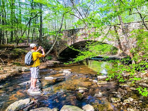 Best Guide to Umstead State Park (Trails, Parking + More)