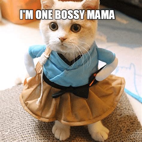 One bossy mama - Lolcats - lol | cat memes | funny cats | funny cat pictures with words on them ...