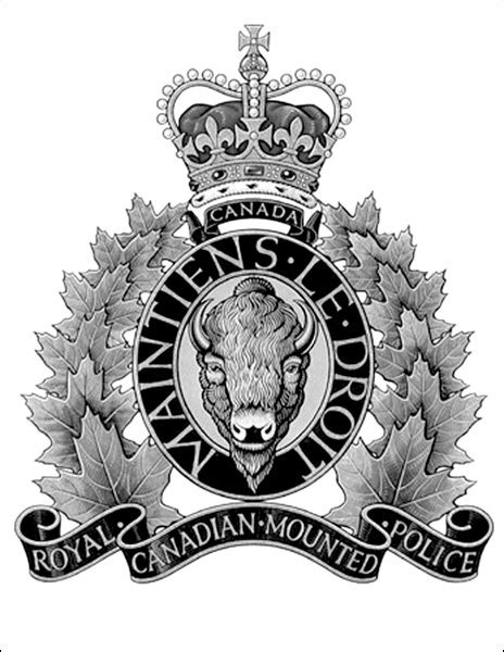 RCMP officer charged with firearms offence - SaskToday.ca