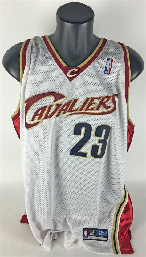 Lot Detail - LeBron James Signed Cleveland Cavaliers Jersey (Upper Deck)