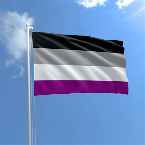 Asexual (Ace) Pride Flag - Grand Rapids Pride Center