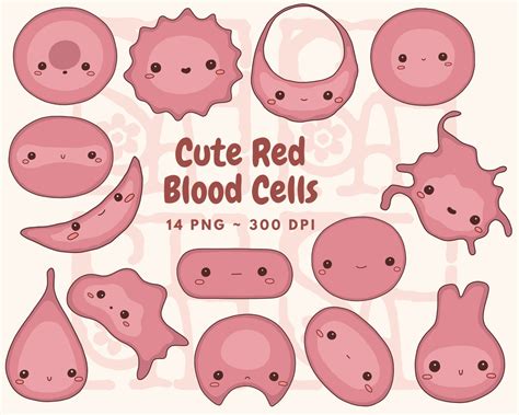 Cute Red Blood Cell Morphology Clip Art, Hematology, Cute Biology Medical Lab Tech MLS Clip Art ...