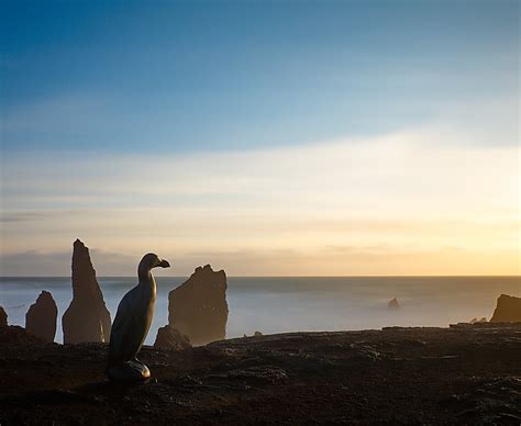 great auk | Statue in memory of the last Great Auk which was… | Flickr