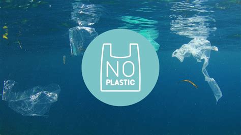 45 Catchy No Plastic Slogans - I'm Plastic Free