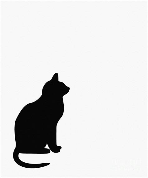 Black Cat Silhouette On A White Background Digital Art by Barbara Griffin