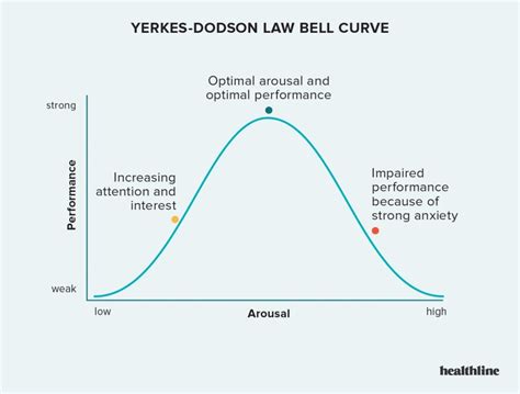 Yerkes-Dodson Yasası Stres ve Performans Hakkında Ne Diyor? - Haberbin