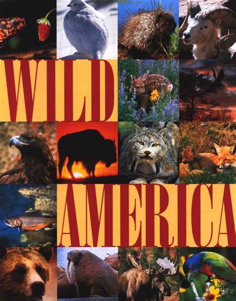 Wild America- Soundtrack details - SoundtrackCollector.com