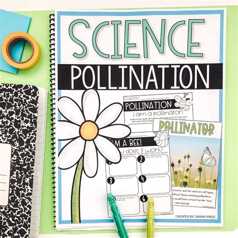 Hands-On Pollination Activities for Elementary Science - Priceless Ponderings